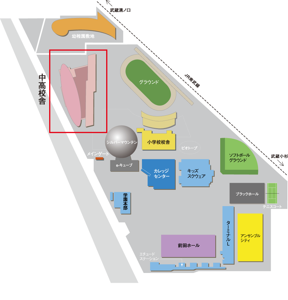 大学 洗足 音楽